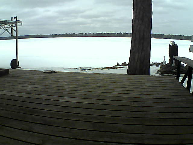 Whiteface Cam Image - Tue, 03/16/2021 12:15pm 