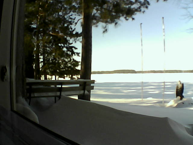 Whiteface Cam Image - Thu, 01/23/2014 11:43am 