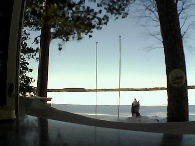 Whiteface Cam Image - Sat, 01/25/2014 2:25pm 