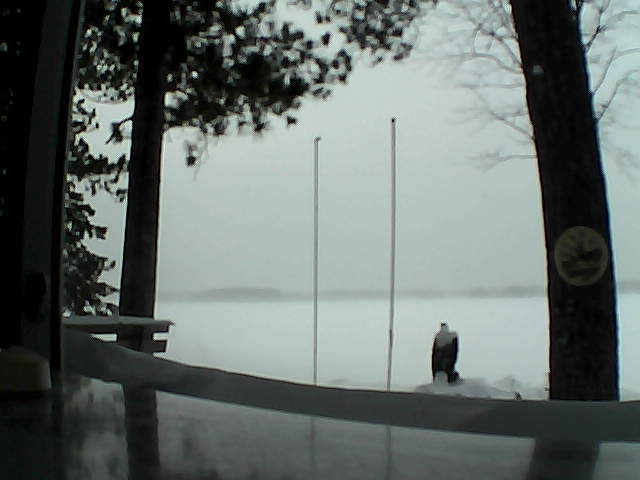 Whiteface Cam Image - Sun, 01/26/2014 3:44pm 