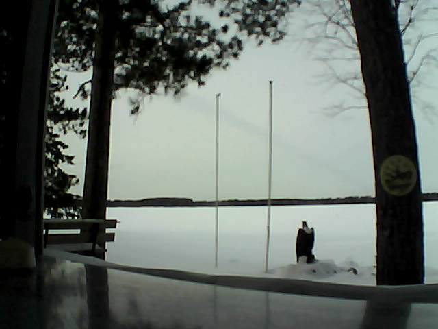 Whiteface Cam Image - Wed, 02/05/2014 1:05pm 