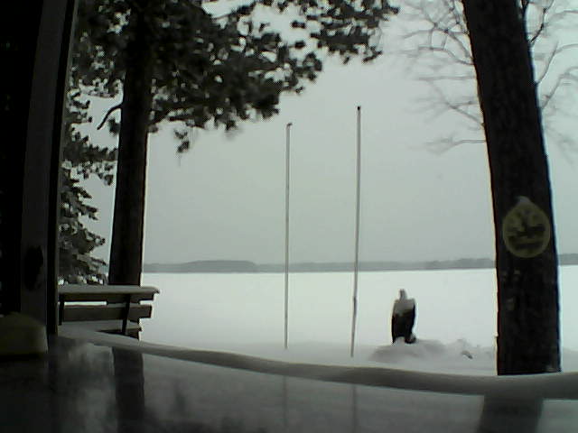 Whiteface Cam Image - Thu, 02/13/2014 11:24am 