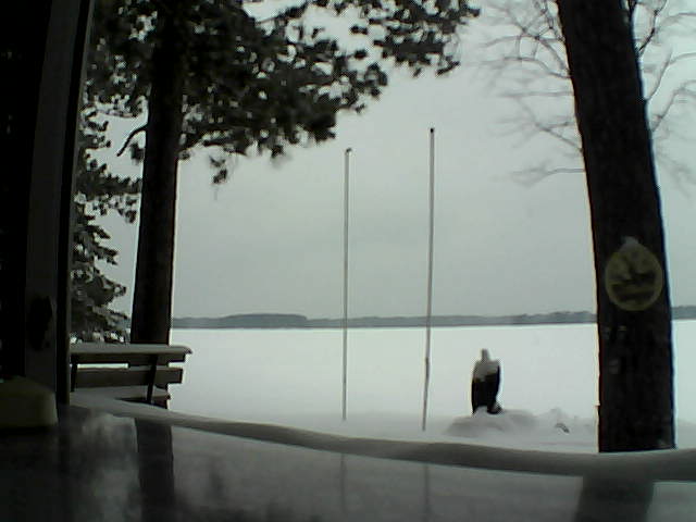 Whiteface Cam Image - Thu, 02/13/2014 12:04pm 