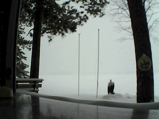 Whiteface Cam Image - Thu, 02/13/2014 1:24pm 