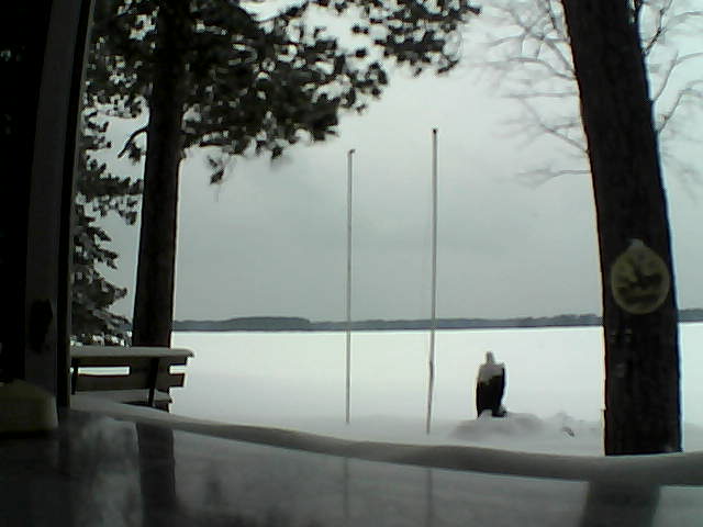 Whiteface Cam Image - Thu, 02/13/2014 2:24pm 