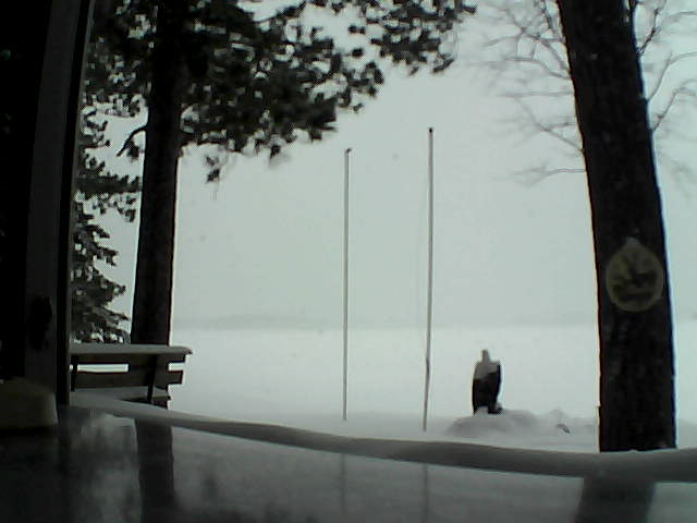 Whiteface Cam Image - Thu, 02/13/2014 2:44pm 