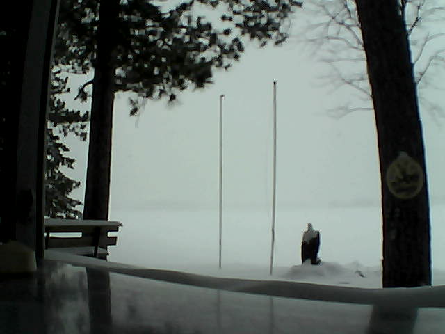 Whiteface Cam Image - Thu, 02/13/2014 3:44pm 