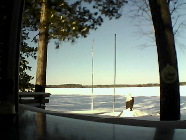 Whiteface Cam Image - Fri, 02/14/2014 10:04am 