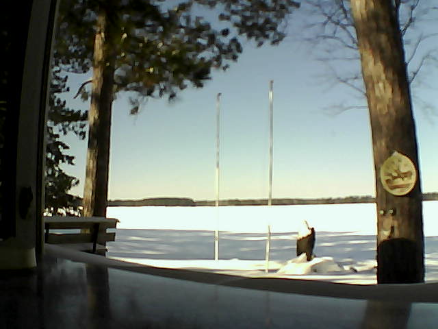 Whiteface Cam Image - Fri, 02/14/2014 12:04pm 