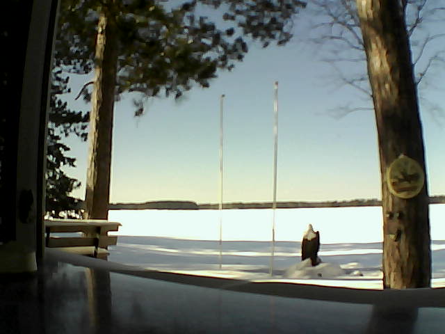 Whiteface Cam Image - Fri, 02/14/2014 1:24pm 