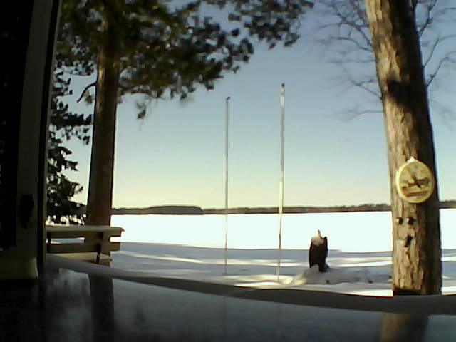 Whiteface Cam Image - Fri, 02/14/2014 1:44pm 