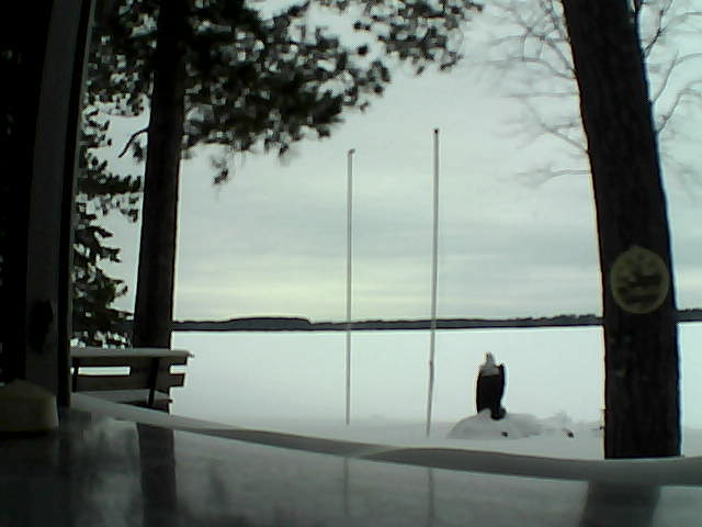 Whiteface Cam Image - Sat, 02/15/2014 9:44am 