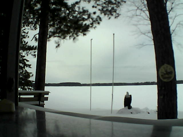 Whiteface Cam Image - Sat, 02/15/2014 10:44am 