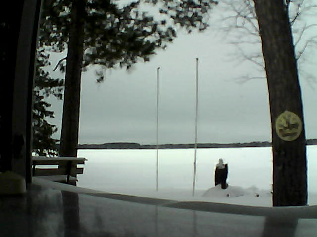 Whiteface Cam Image - Sat, 02/15/2014 11:04am 