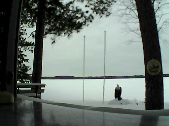 Whiteface Cam Image - Sat, 02/15/2014 11:46am 