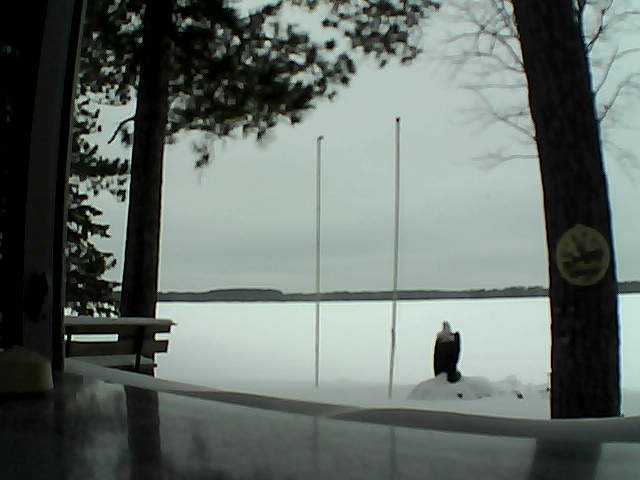 Whiteface Cam Image - Sat, 02/15/2014 12:06pm 