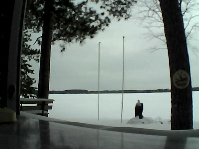 Whiteface Cam Image - Sat, 02/15/2014 12:26pm 