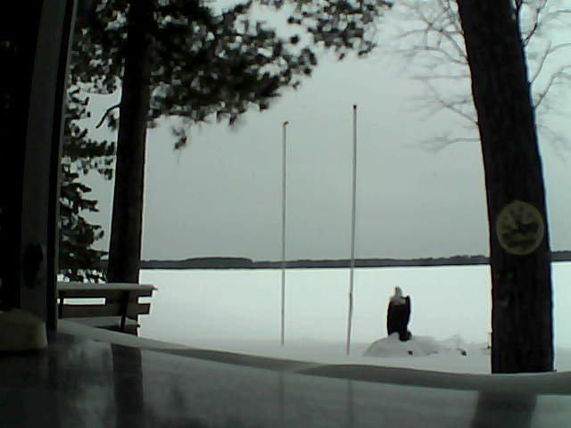 Whiteface Cam Image - Sat, 02/15/2014 12:46pm 