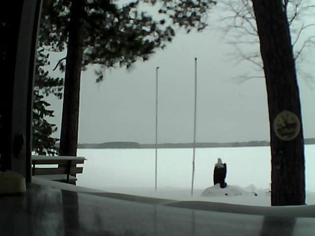 Whiteface Cam Image - Sat, 02/15/2014 1:06pm 