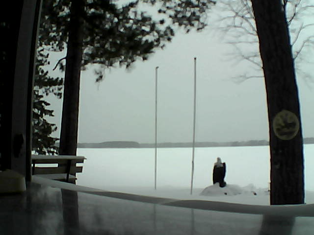 Whiteface Cam Image - Sat, 02/15/2014 1:46pm 