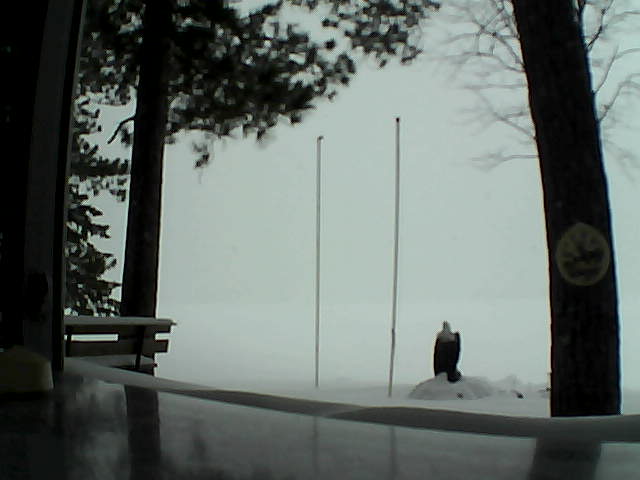 Whiteface Cam Image - Sat, 02/15/2014 2:46pm 