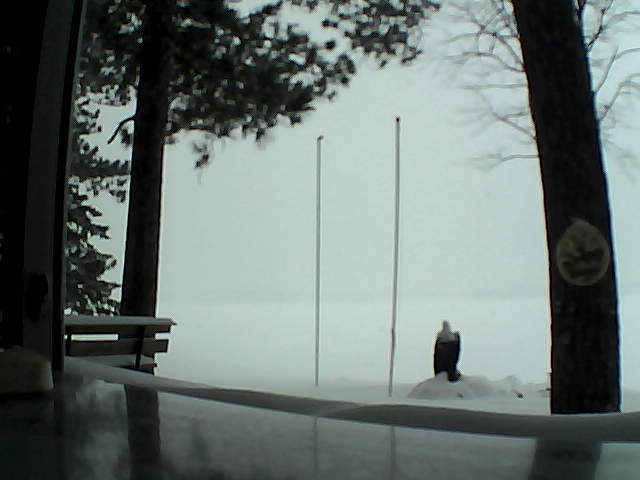 Whiteface Cam Image - Sat, 02/15/2014 3:46pm 