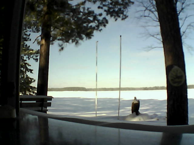 Whiteface Cam Image - Sun, 02/16/2014 9:43am 