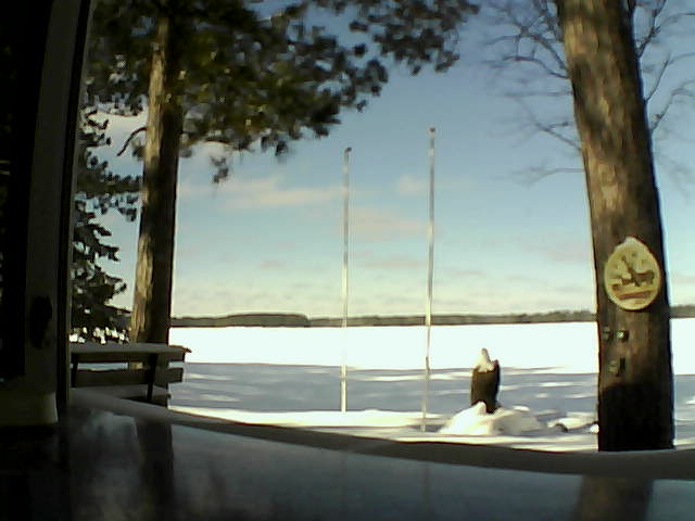 Whiteface Cam Image - Sun, 02/16/2014 12:04pm 