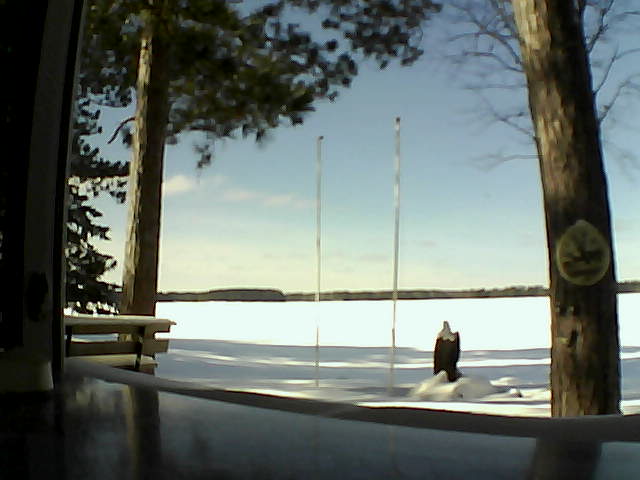 Whiteface Cam Image - Sun, 02/16/2014 1:24pm 