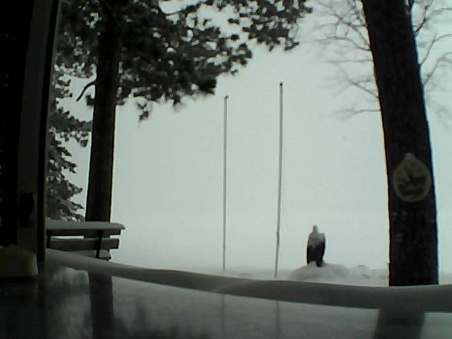 Whiteface Cam Image - Mon, 02/17/2014 9:45am 