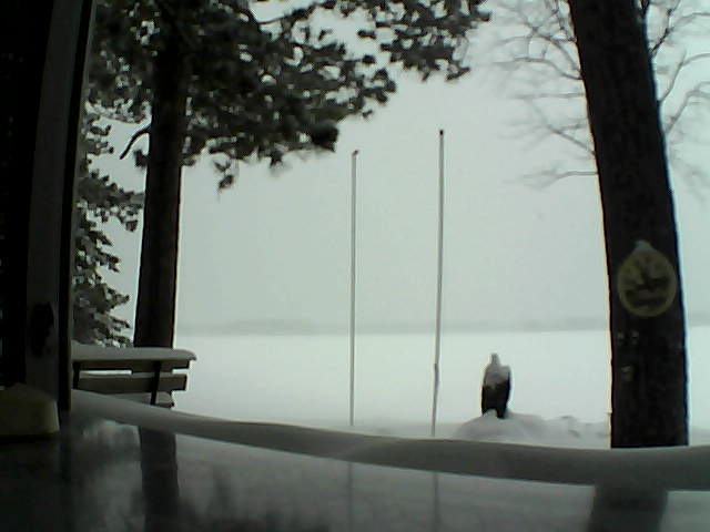 Whiteface Cam Image - Mon, 02/17/2014 10:25am 