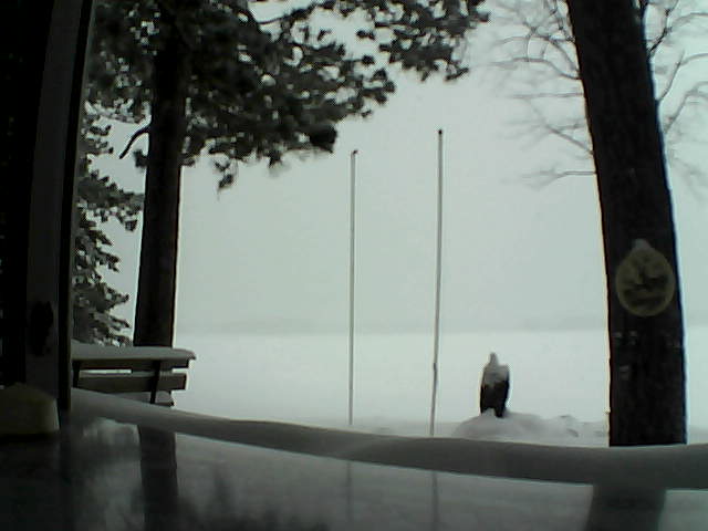 Whiteface Cam Image - Mon, 02/17/2014 11:05am 