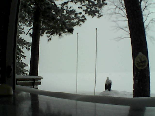 Whiteface Cam Image - Mon, 02/17/2014 11:25am 