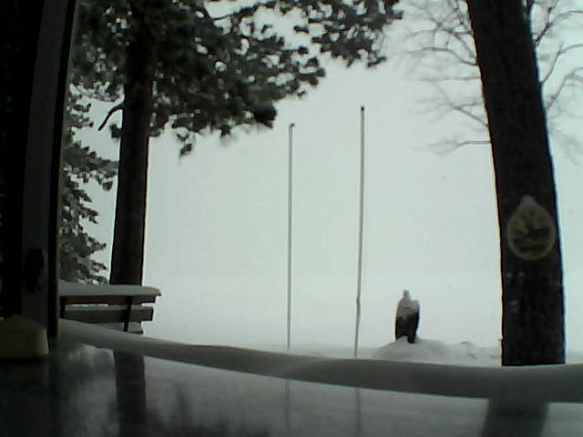 Whiteface Cam Image - Mon, 02/17/2014 11:45am 