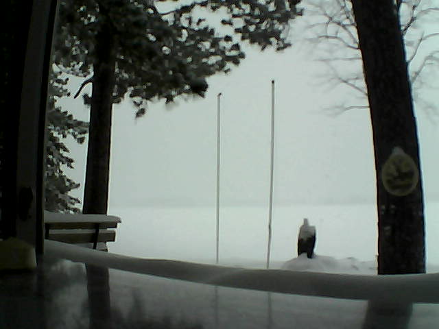 Whiteface Cam Image - Mon, 02/17/2014 12:05pm 