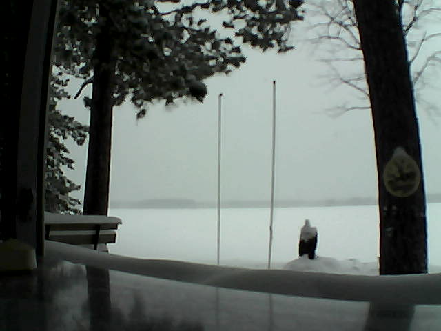 Whiteface Cam Image - Mon, 02/17/2014 2:45pm 