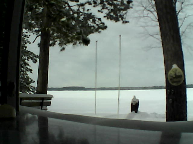 Whiteface Cam Image - Tue, 02/18/2014 10:24am 