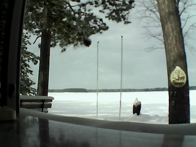 Whiteface Cam Image - Tue, 02/18/2014 10:44am 