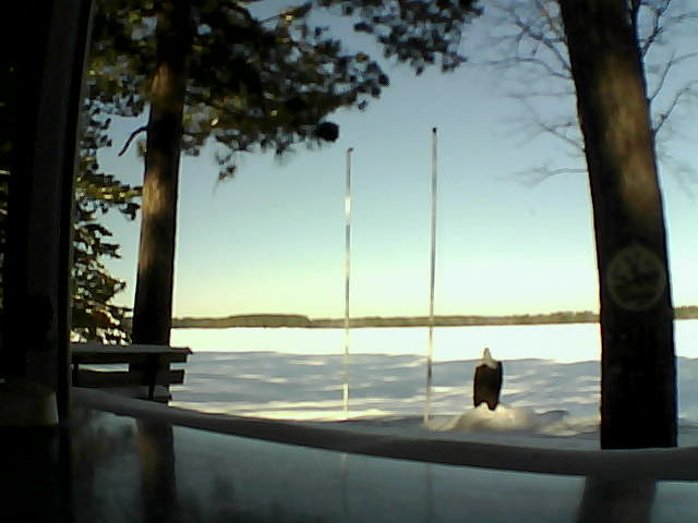 Whiteface Cam Image - Wed, 02/19/2014 9:43am 