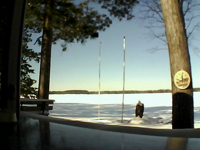 Whiteface Cam Image - Wed, 02/19/2014 11:03am 