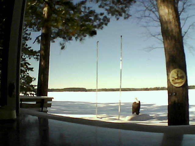 Whiteface Cam Image - Wed, 02/19/2014 11:43am 