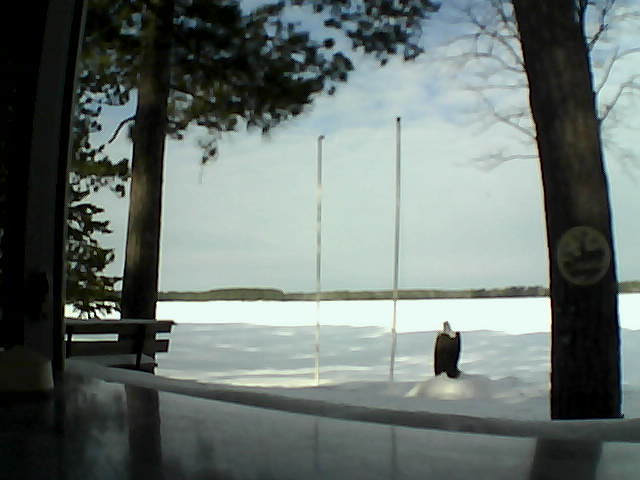 Whiteface Cam Image - Thu, 02/20/2014 9:44am 