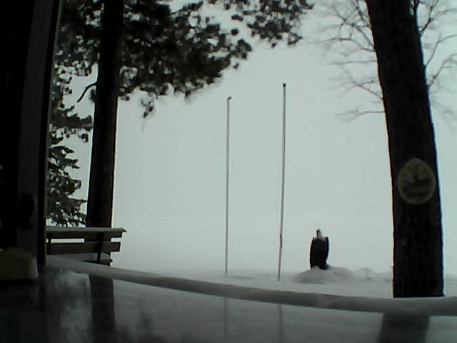 Whiteface Cam Image - Thu, 02/20/2014 2:44pm 