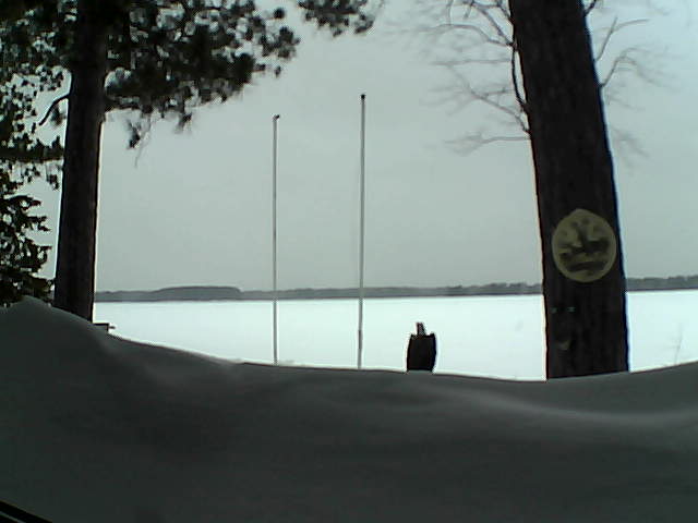 Whiteface Cam Image - Fri, 03/07/2014 5:17pm 