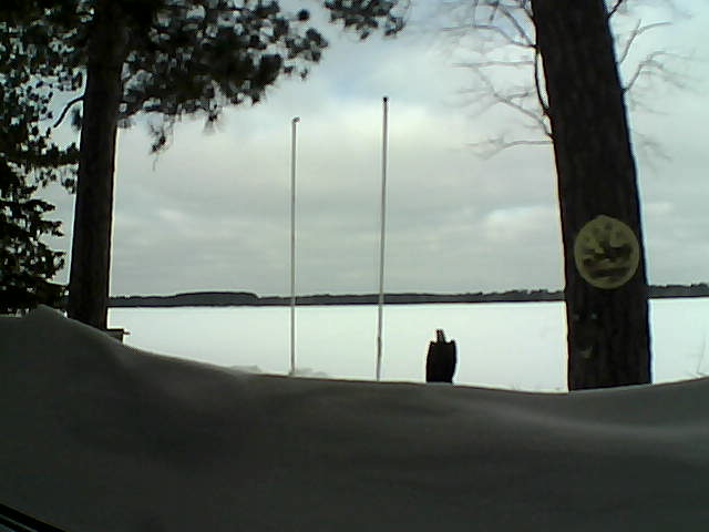 Whiteface Cam Image - Sat, 03/08/2014 8:49am 