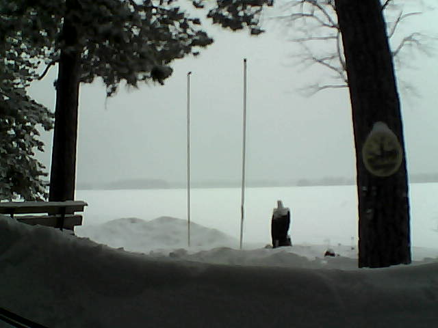 Whiteface Cam Image - Fri, 03/21/2014 2:28pm 