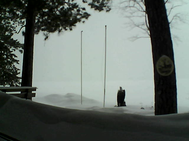 Whiteface Cam Image - Thu, 03/27/2014 2:47pm 