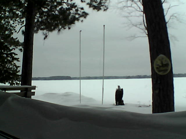 Whiteface Cam Image - Thu, 03/27/2014 7:27pm 