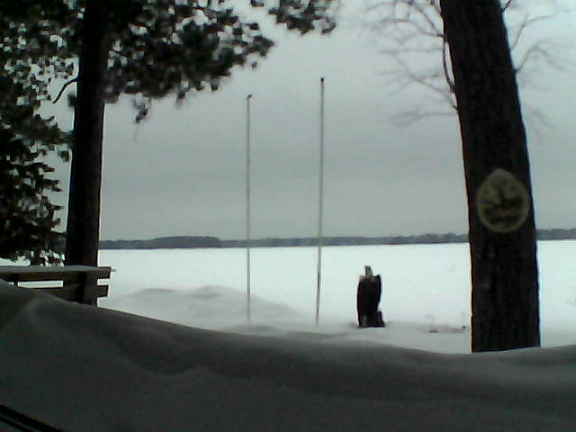 Whiteface Cam Image - Thu, 03/27/2014 7:47pm 
