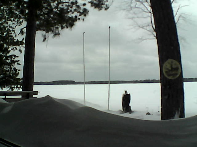 Whiteface Cam Image - Fri, 04/04/2014 2:08pm 